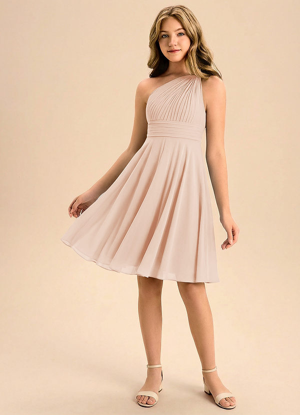 Azazie Charlize Junior English Rose A-Line Pleated Chiffon Dress image1