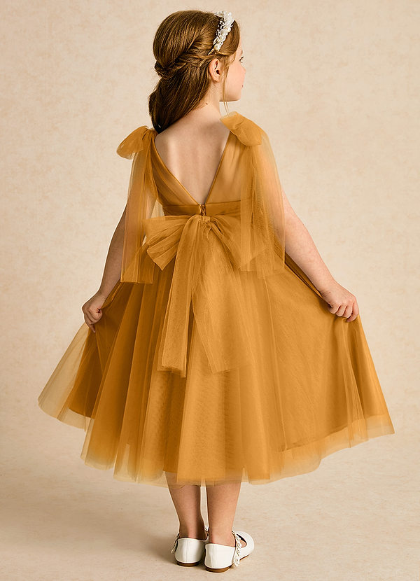 Azazie Dori Robes de Fillette d'Honneur Robe Trapèze en Tulle Rayé Caramel écossais image1