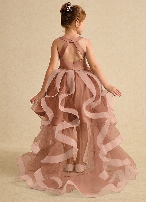 Azazie Julietta Blumenkinder Kleider Ballkleid Cabrio Tüll Kleid Bronzer image1