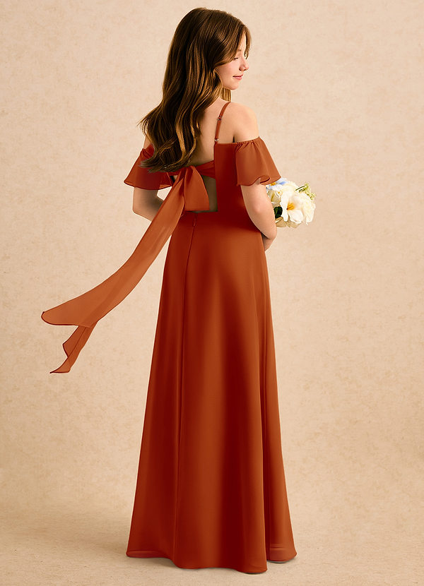 Azazie Robyn Girls Formal Sukienki dla dziewczynek sypiących kwiaty Linia A Dekolt w kształcie serca Szyfon Długość podłogi Sukienka image1