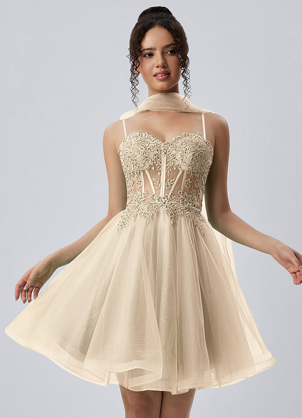 Thalassienne Champagne Kanten mini-jurk van tule met strasssteentjes image1