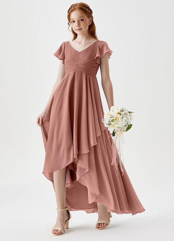 Azazie Caria Junior Cedar Rose A-Line Pleated Chiffon Dress image1