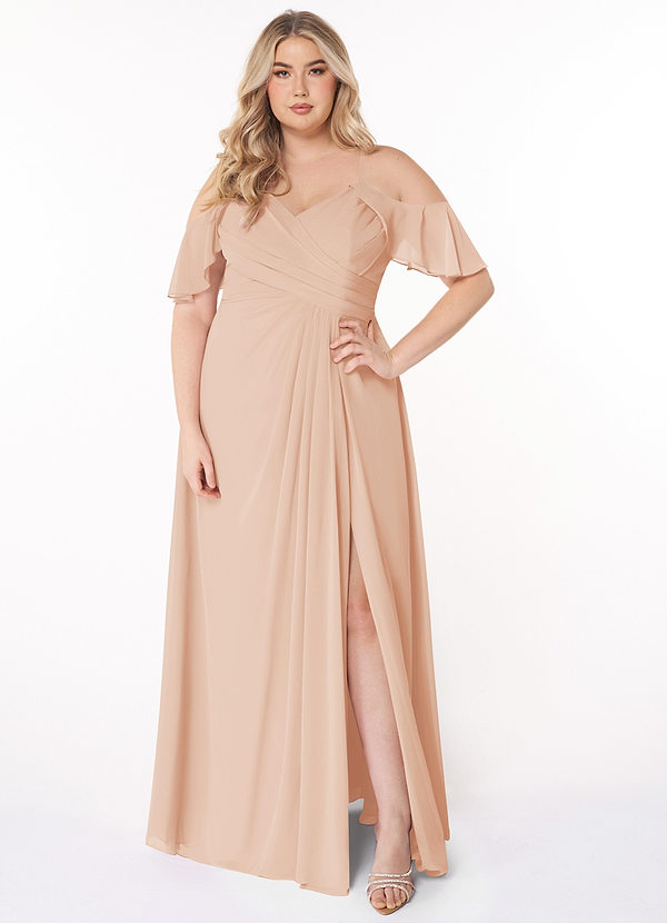 Azazie Dakota Bridesmaid Dresses English Rose A-Line V-Neck Pleated Chiffon Dress image1
