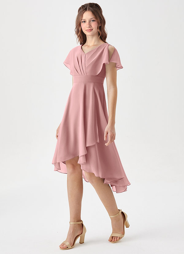 Azazie Graciela Junior Dusty Rose A-Line Pleated Chiffon Dress image1