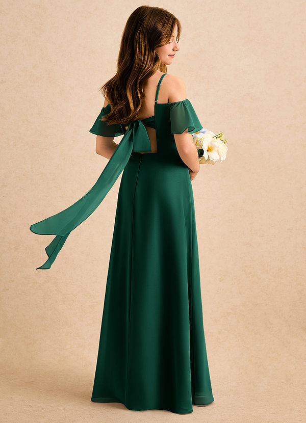 Azazie Robyn Girls Formal Sukienki dla dziewczynek sypiących kwiaty Linia A Dekolt w kształcie serca Szyfon Długość podłogi Sukienka image1