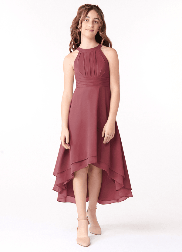 Azazie Linna Junior Merlot A-Line Pleated Chiffon Dress image1