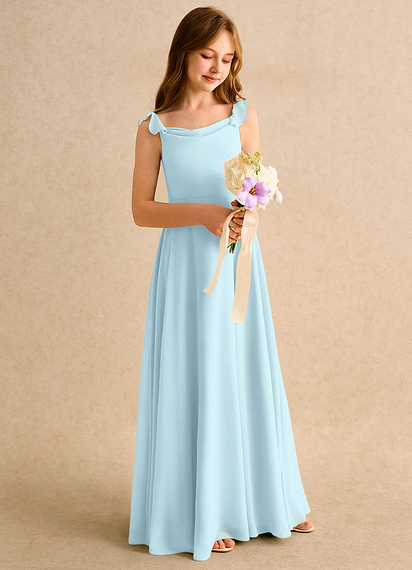 Azazie Puppy Girls Formal Flower Girl Dresses Cloud Blue A-Line Pleated Chiffon Dress image1