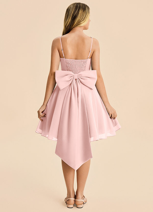 Azazie Arie Junior Powder Pink A-Line Ruched Chiffon Dress image1