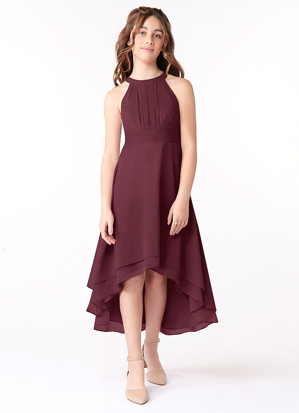 Azazie Linna Junior Cabernet A-Line Pleated Chiffon Dress image1