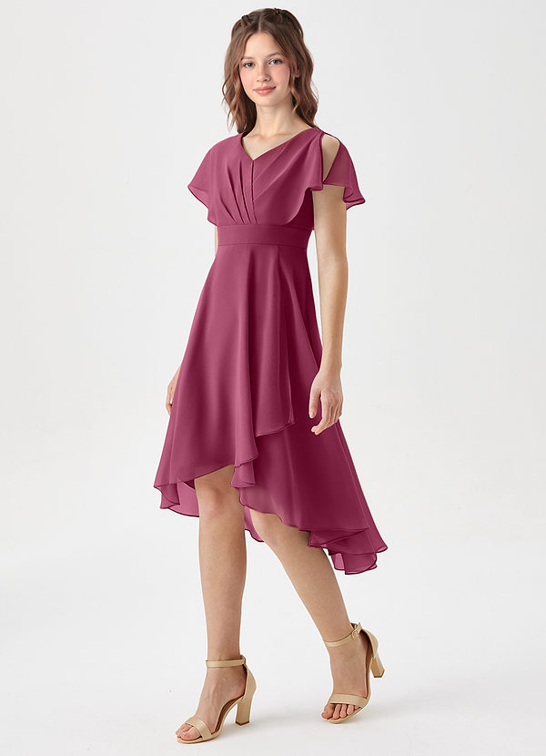 Azazie Graciela Junior Mulberry A-Line Pleated Chiffon Dress image1