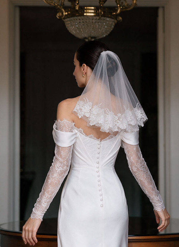 Vintage Rose Patterned Birdcage Veil front