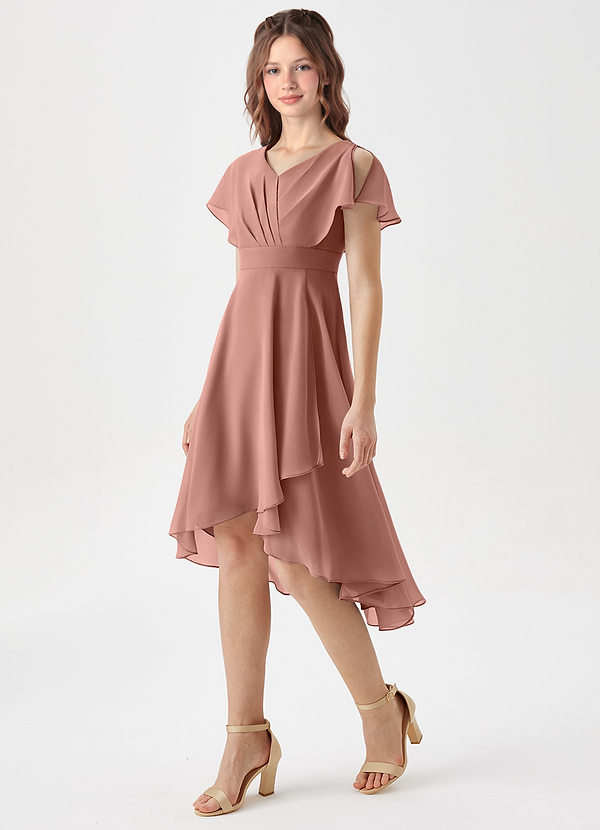Azazie Graciela Junior Cedar Rose A-Line Pleated Chiffon Dress image1