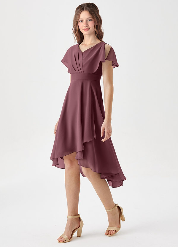 Azazie Graciela Junior Sangria A-Line Pleated Chiffon Dress image1