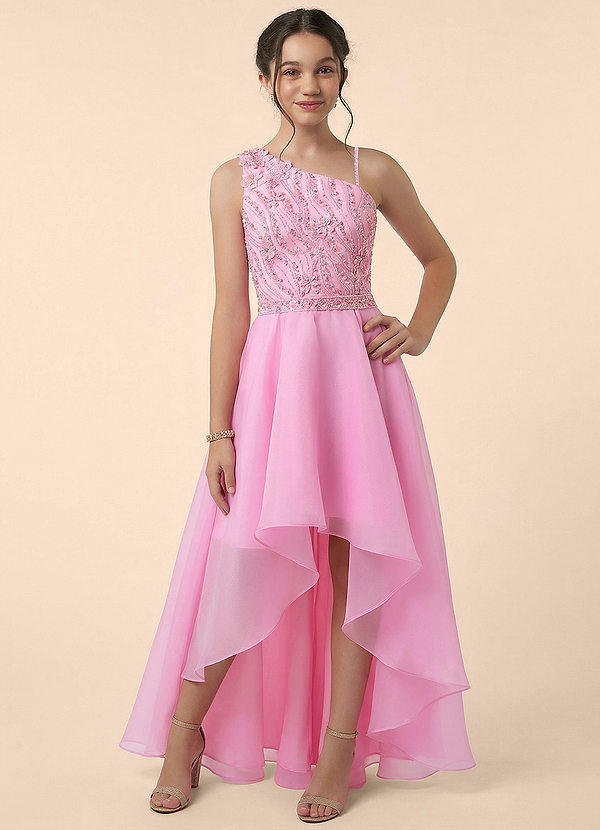 Azazie Peaches Junior Formal Blush Shadow Floral A-Line Beaded Mesh Dress image1