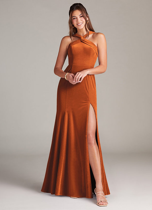 Azazie Rue Bridesmaid Dresses Burnt Orange A-Line Pleated Velvet Dress image1