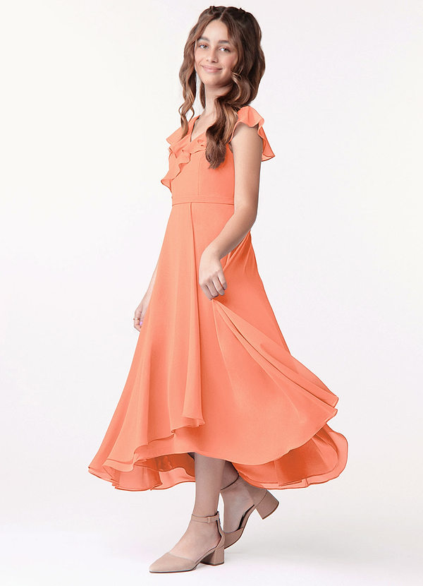 Azazie Posie Junior A-Linie Gestreift Chiffon Kleid Sonnenuntergang image1