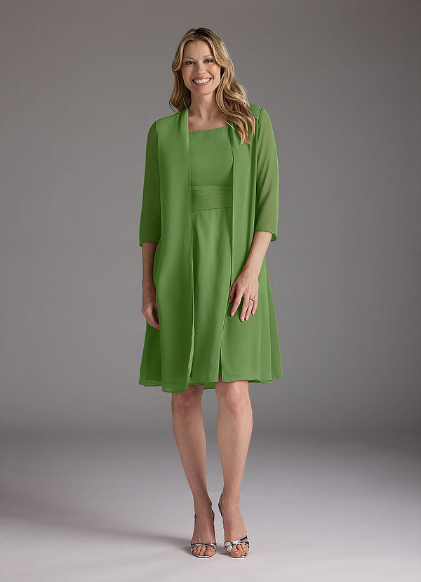 Azazie Shirley Mother of the Brides Dresses Basil A-Line Scoop Pleated Chiffon Dress image1