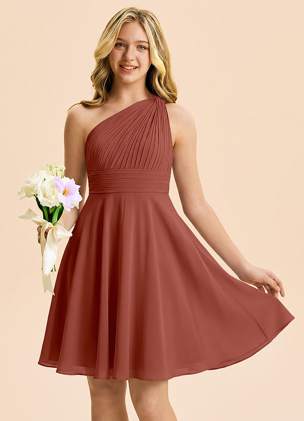 Azazie Charlize Junior Auburn A-Line Pleated Chiffon Dress image1