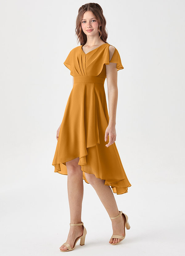 Azazie Graciela Junior Butterscotch A-Line Pleated Chiffon Dress image1