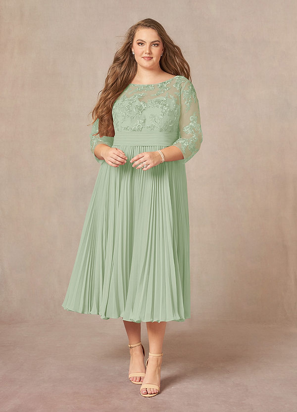 Azazie Tutu Mother of the Brides Dresses Dusty Sage A-Line Boatneck Lace Chiffon Dress image1