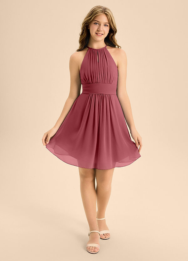 Azazie Bonnie Junior Merlot A-Line Pleated Chiffon Dress image1