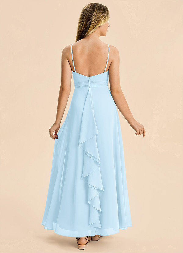 Azazie Tenzly Junior Sky Blue A-Line Pleated Chiffon Dress image1