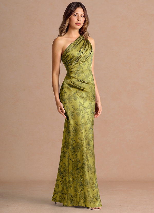 Robe Maxi Brun Mousse Akilah image1