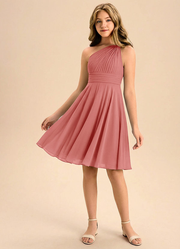 Azazie Charlize Junior Antique Rose A-Line Pleated Chiffon Dress image1