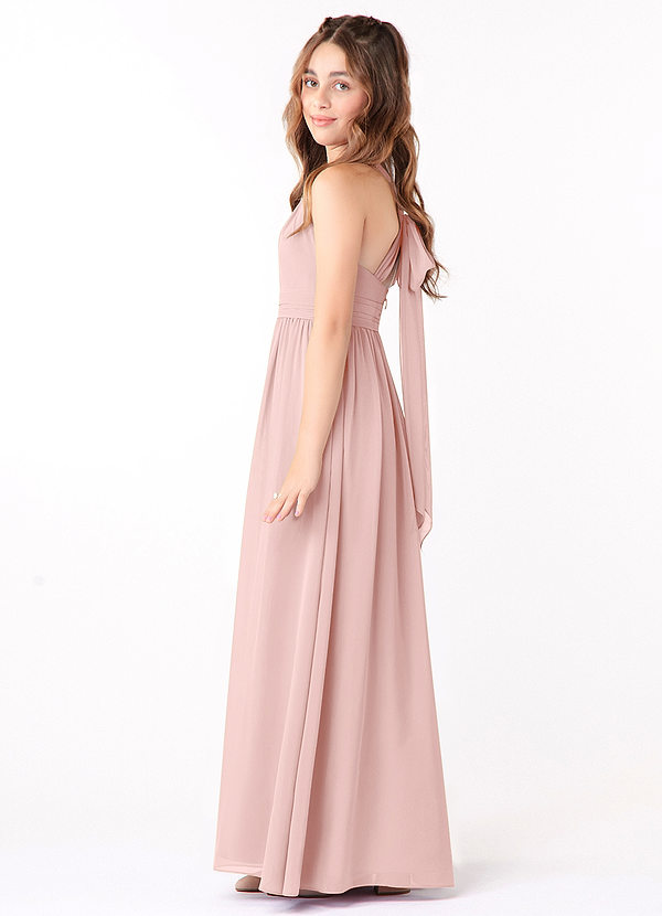 Jaylah Junior Powder Pink A-Line Ruched Chiffon Dress image1
