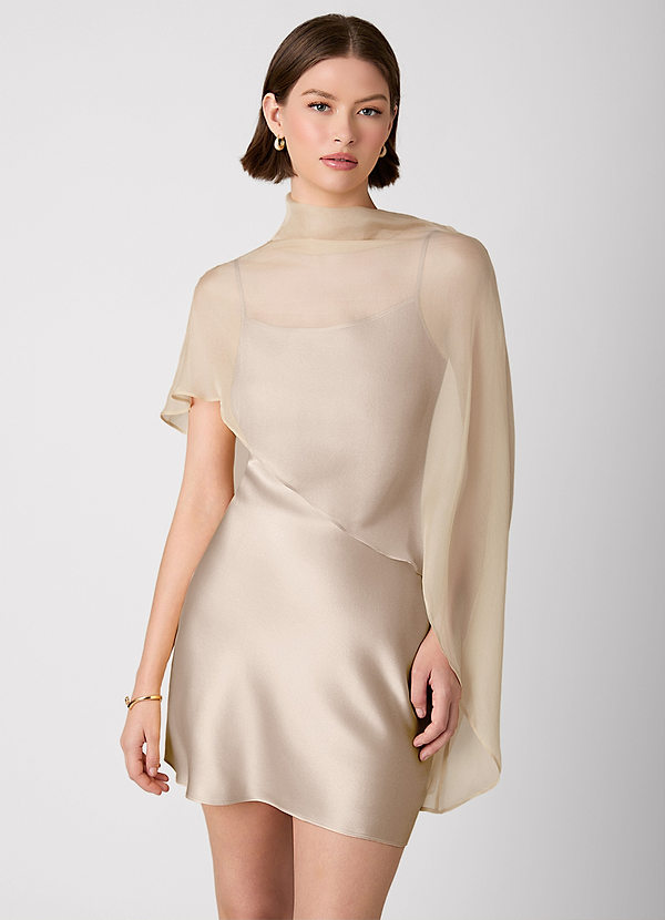 Crystle Taupe 100% Washable Silk Mini Dress image1