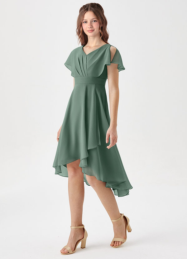 Azazie Graciela Junior Eucalyptus A-Line Pleated Chiffon Dress image1
