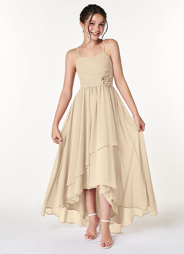 Azazie Catalina Junior Champagne A-Line Ruched Chiffon Dress image1