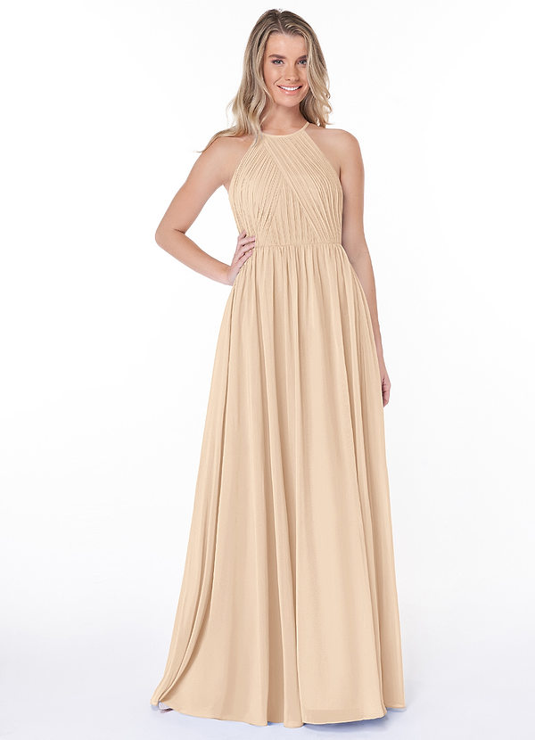 Azazie Joy Bridesmaid Dresses A-Line Pleated Chiffon Floor-Length Dress image1