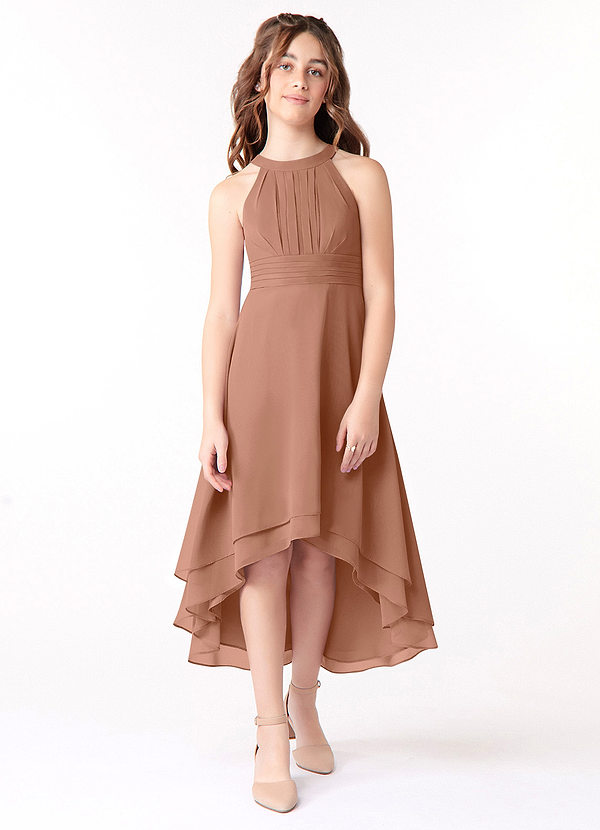 Azazie Linna Junior Bronzer A-Line Pleated Chiffon Dress image1