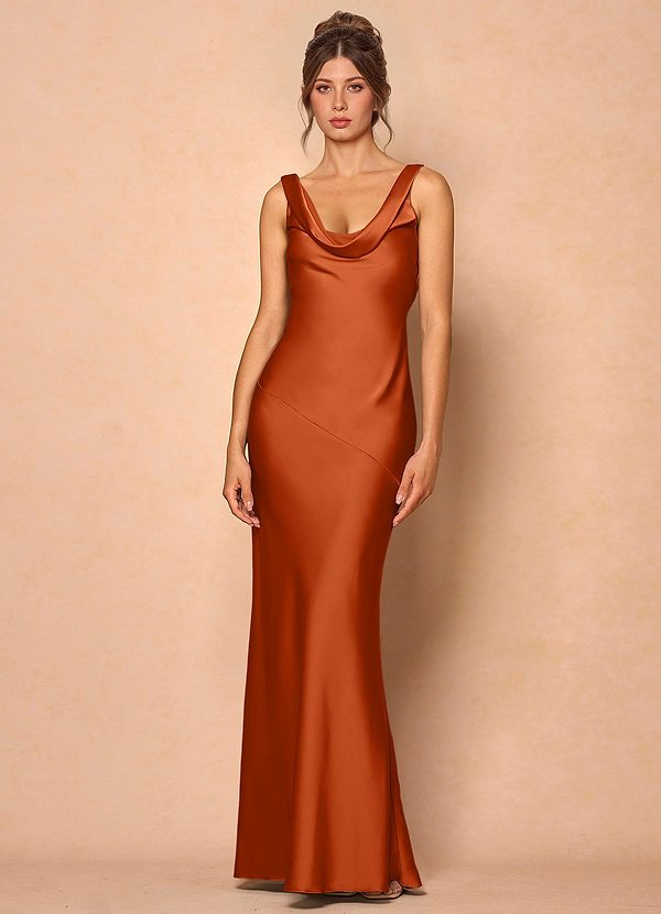 Rylina Rust Maxi Dress image1