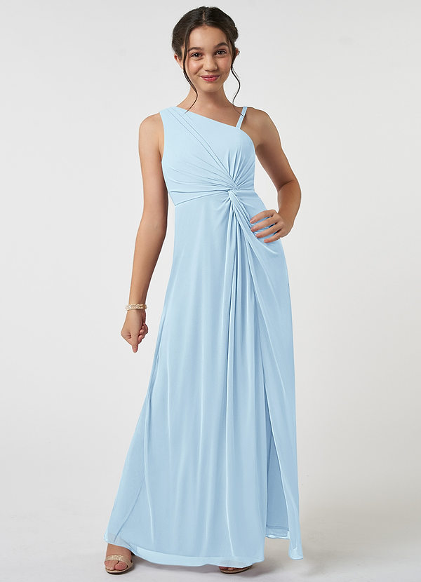 Azazie Brooke Junior Sky Blue A-Line Pleated Mesh Dress image1