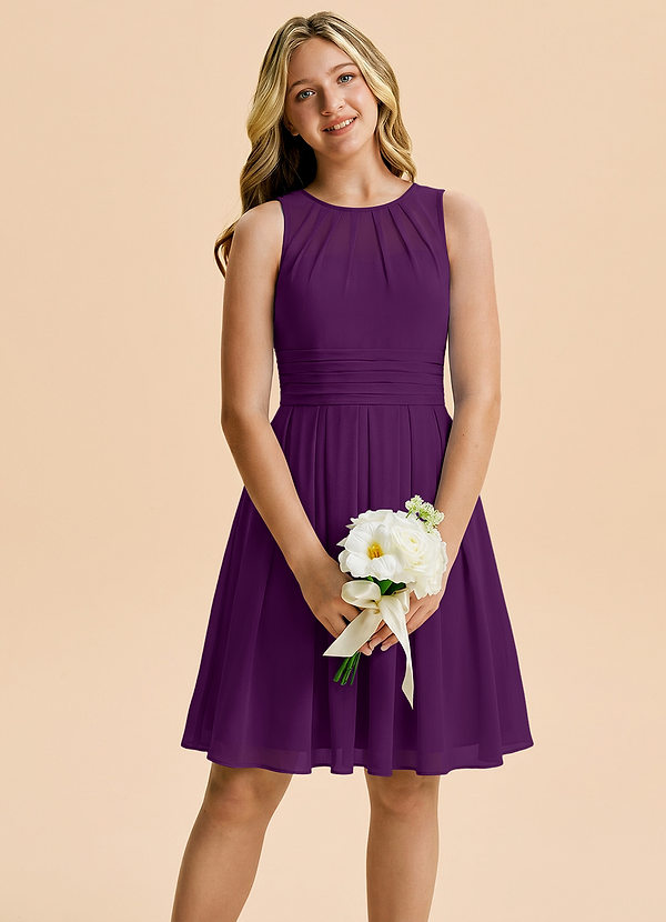 Bibiane Junior Grape A-Line Pleated Chiffon Dress image1