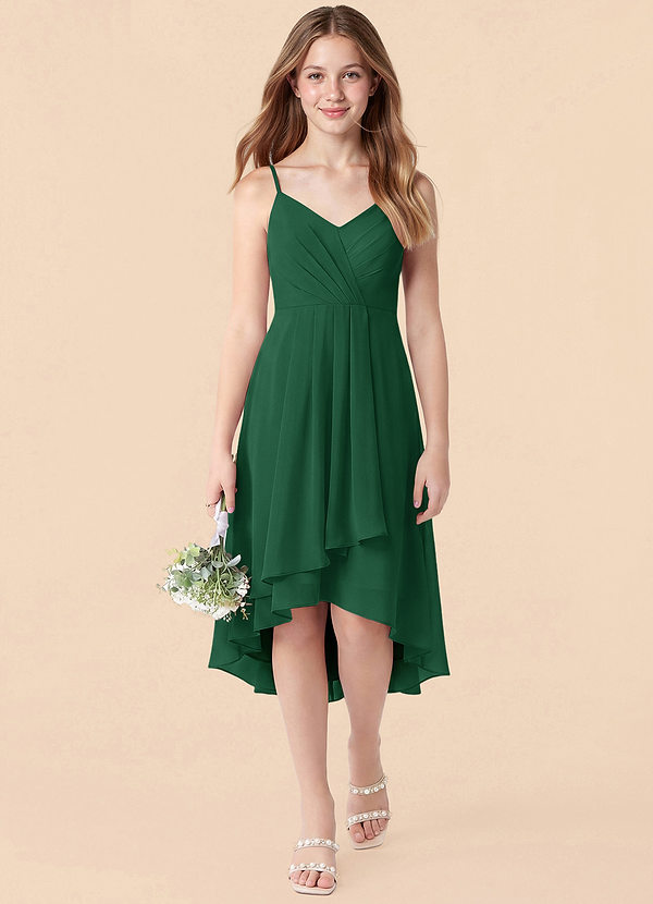 Azazie Mariam Junior Dark Green A-Line Pleated Chiffon Dress image1