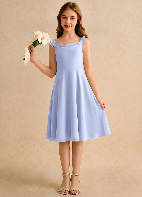 Azazie Pup Girls Formal Flower Girl Dresses Ice A-Line Pleated Chiffon Dress image1