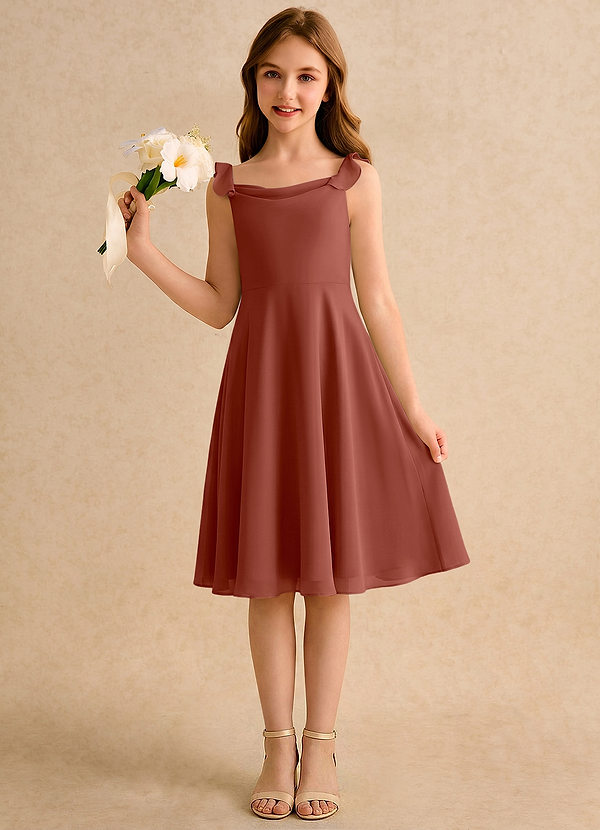 Azazie Pup Girls Formal Flower Girl Dresses Auburn A-Line Pleated Chiffon Dress image1