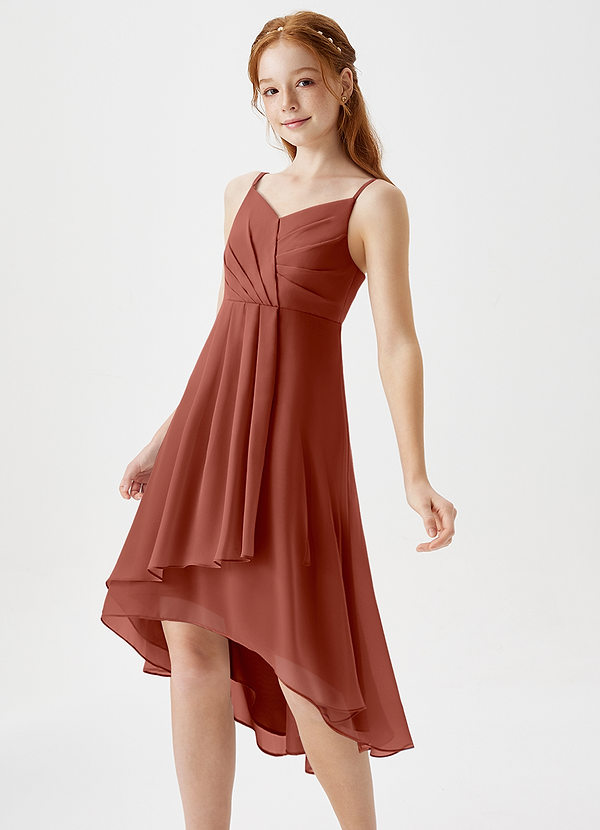 Azazie Mariam Junior Auburn A-Line Pleated Chiffon Dress image1