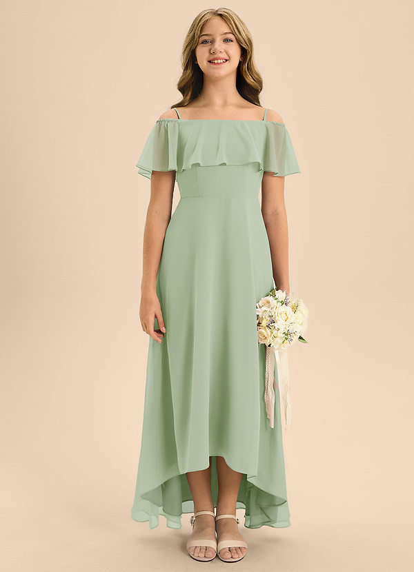 Azazie Maggie Junior Dusty Sage A-Line Off the Shoulder Chiffon Dress image1