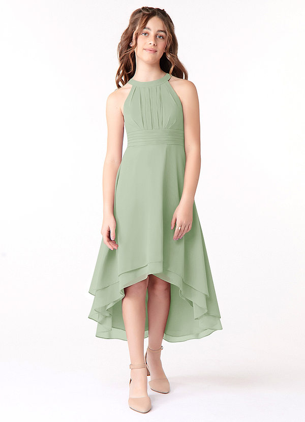 Azazie Linna Junior Dusty Sage A-Line Pleated Chiffon Dress image1