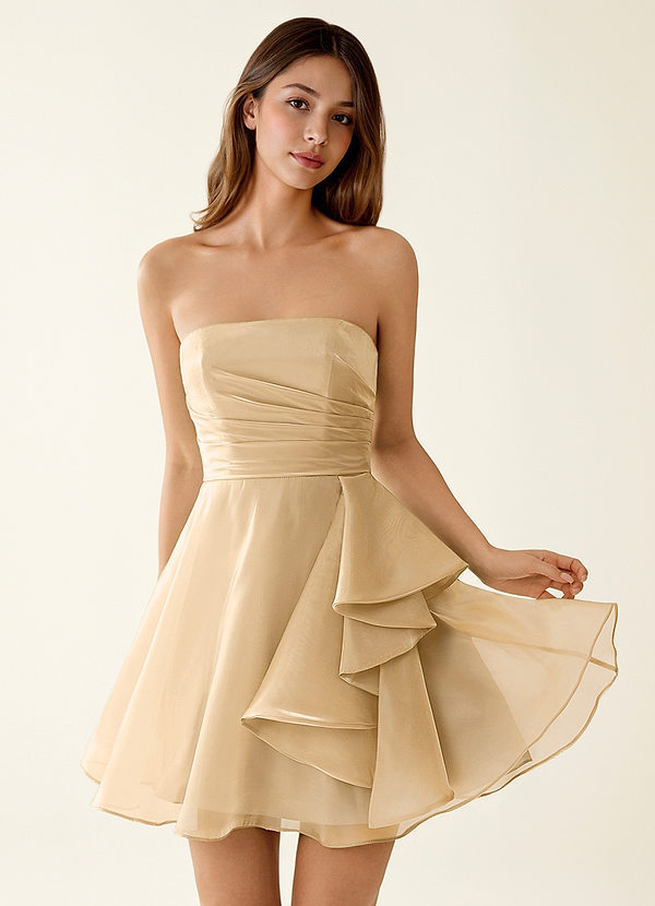Nadine Champagne Satin Faced Chiffon Ruffled Mini Dress image1