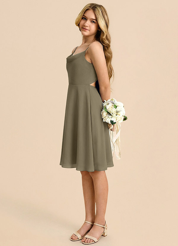 Azazie Shale Vestido Salgueiro Verde de Chiffon de Linha A com Arco image1