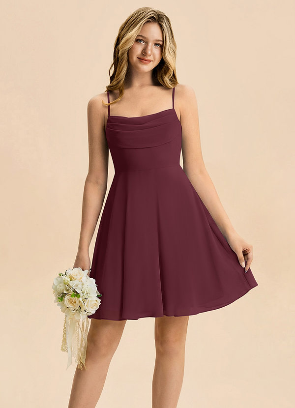 Azazie Bear Junior Cabernet A-Line Pleated Chiffon Dress image1