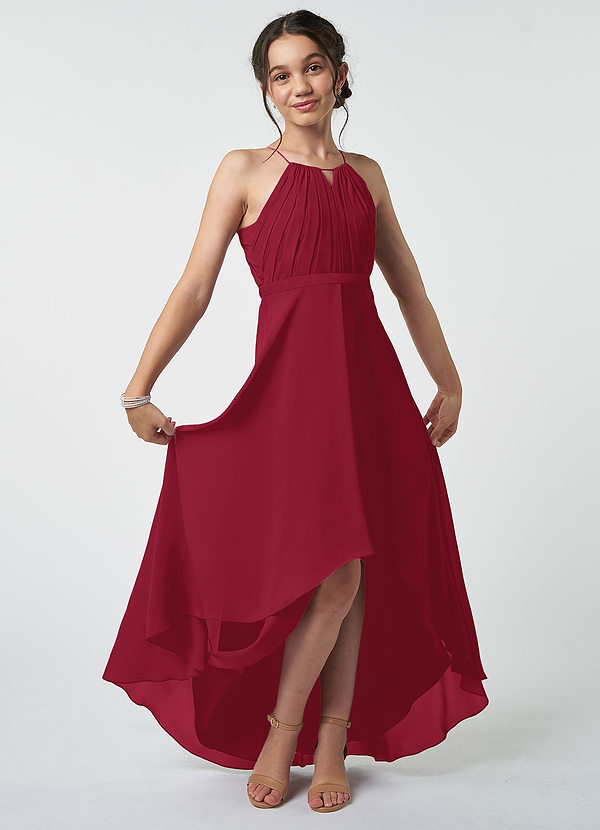 Azazie Oaklynn Junior Burgundy A-Line Pleated Chiffon Dress image1