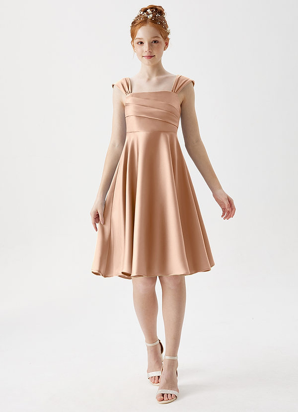 Azazie Amira Junior Vestido de Rosa Inglesa de Satén Elástico de Corte En A con Plisado image1