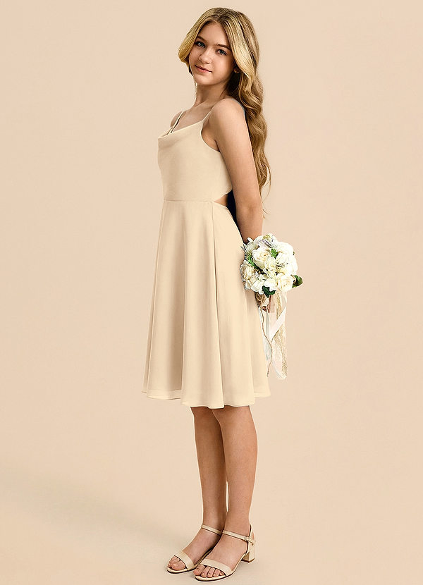 Azazie Shale Jurk van Chiffon met A-Lijn Boog Champagne image1