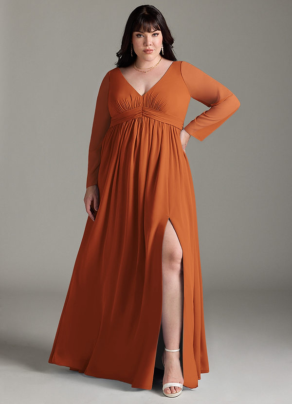 Azazie Teton Maternity Bridesmaid Dresses A-Line Long Sleeve Chiffon Floor-Length Dress image1